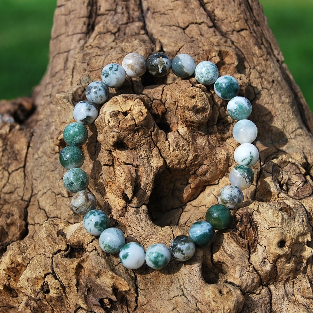 TREE AGATE