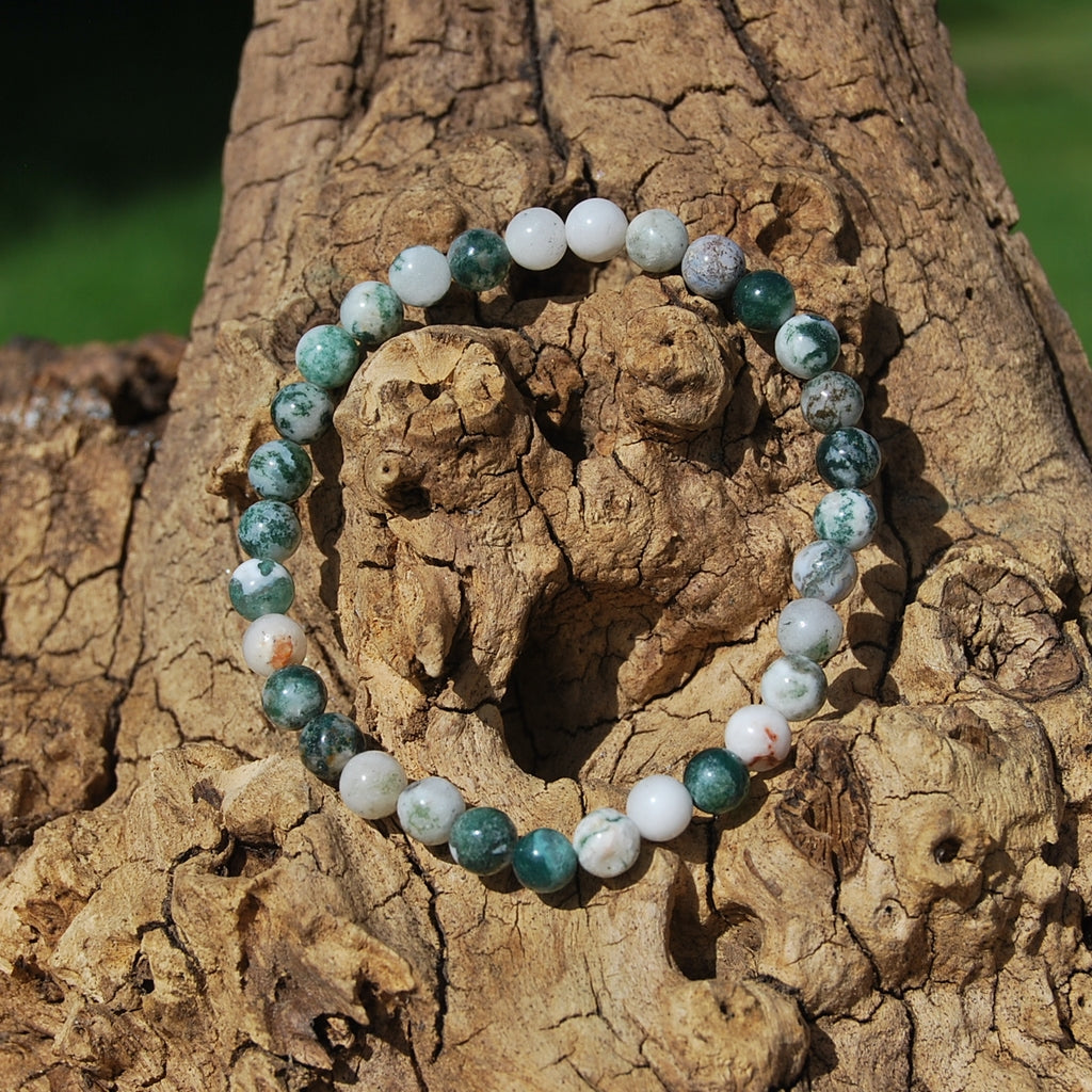 TREE AGATE