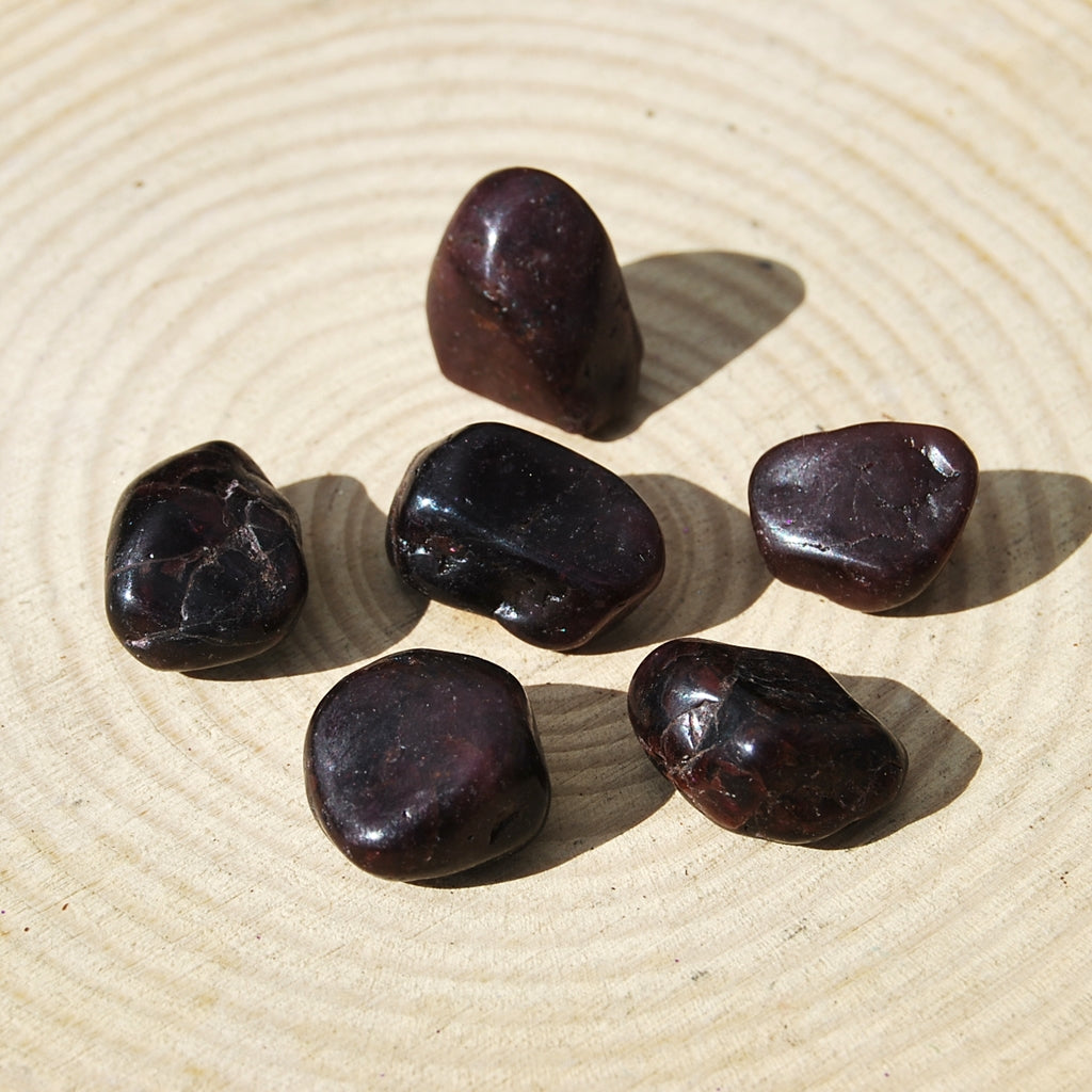 GARNET