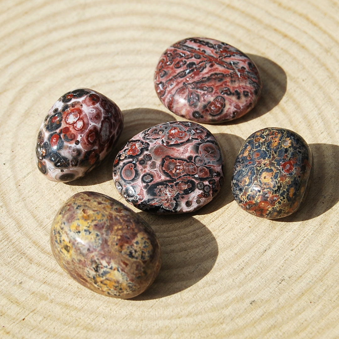 LEOPARD JASPER