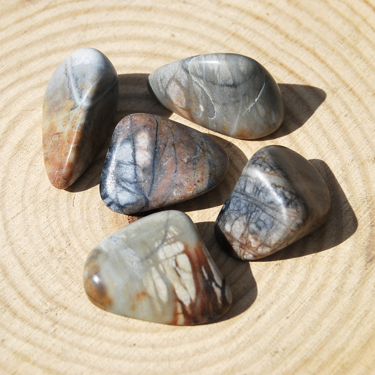 PICASSO JASPER