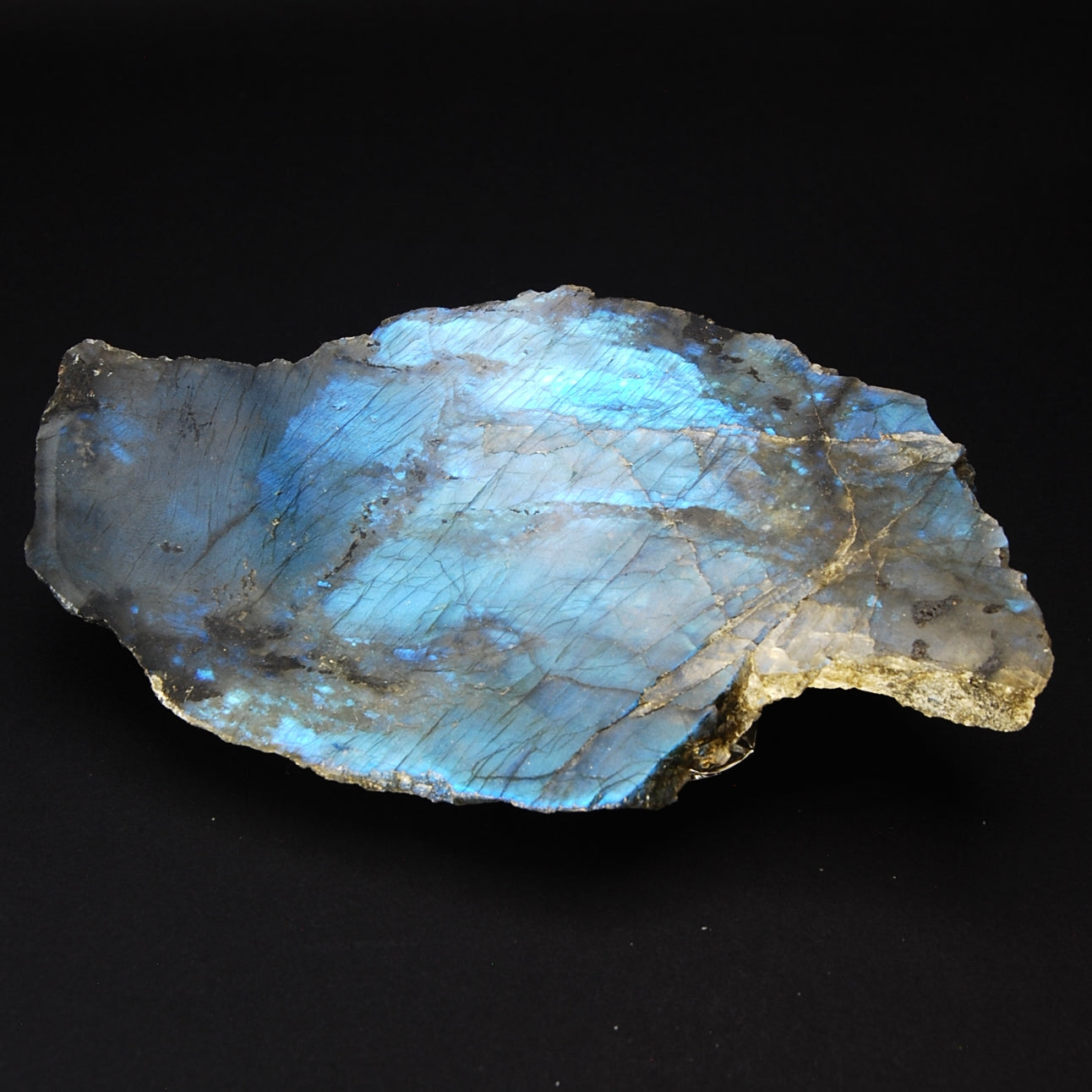 LABRADORITE - Une face polie 15/8cm