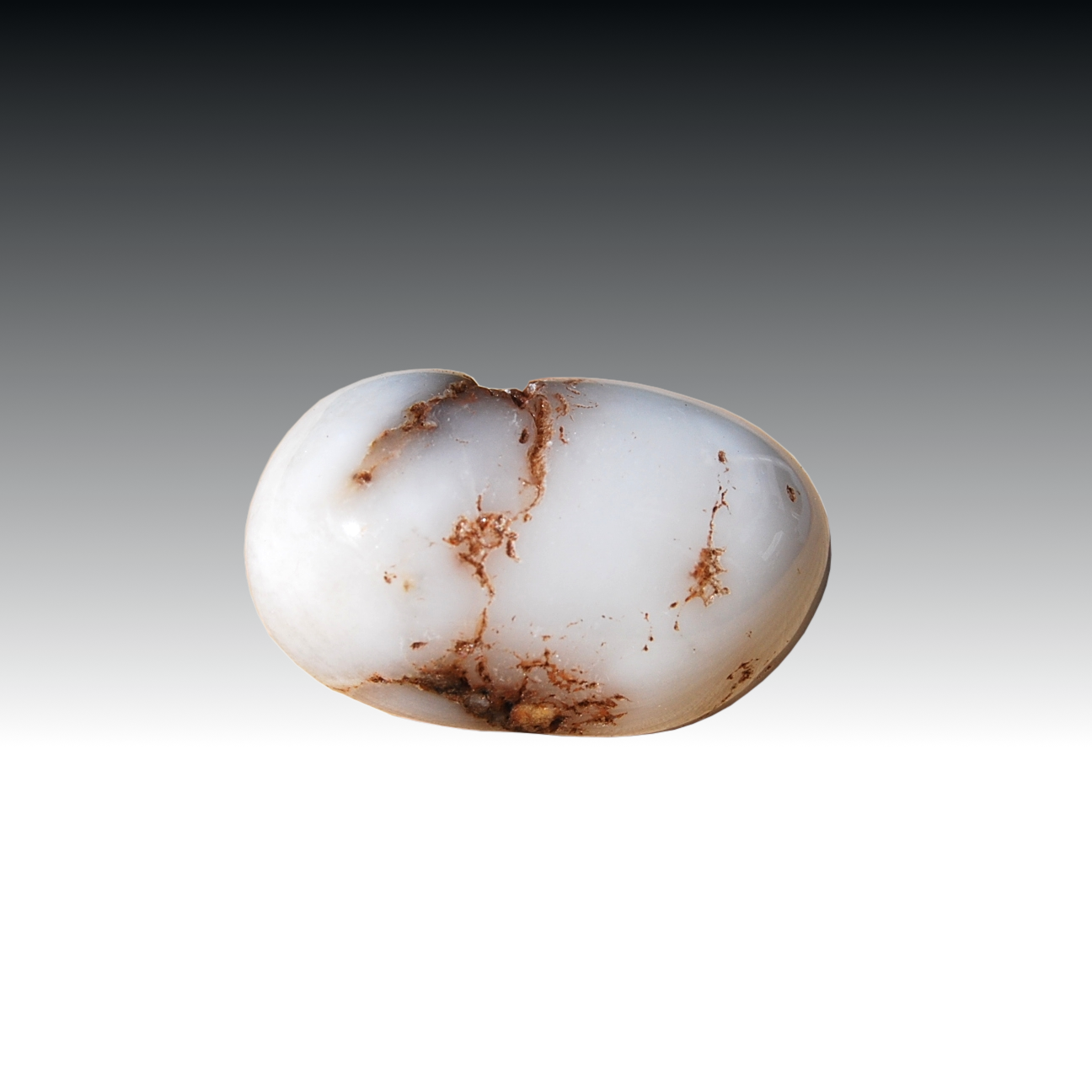 WHITE OPAL