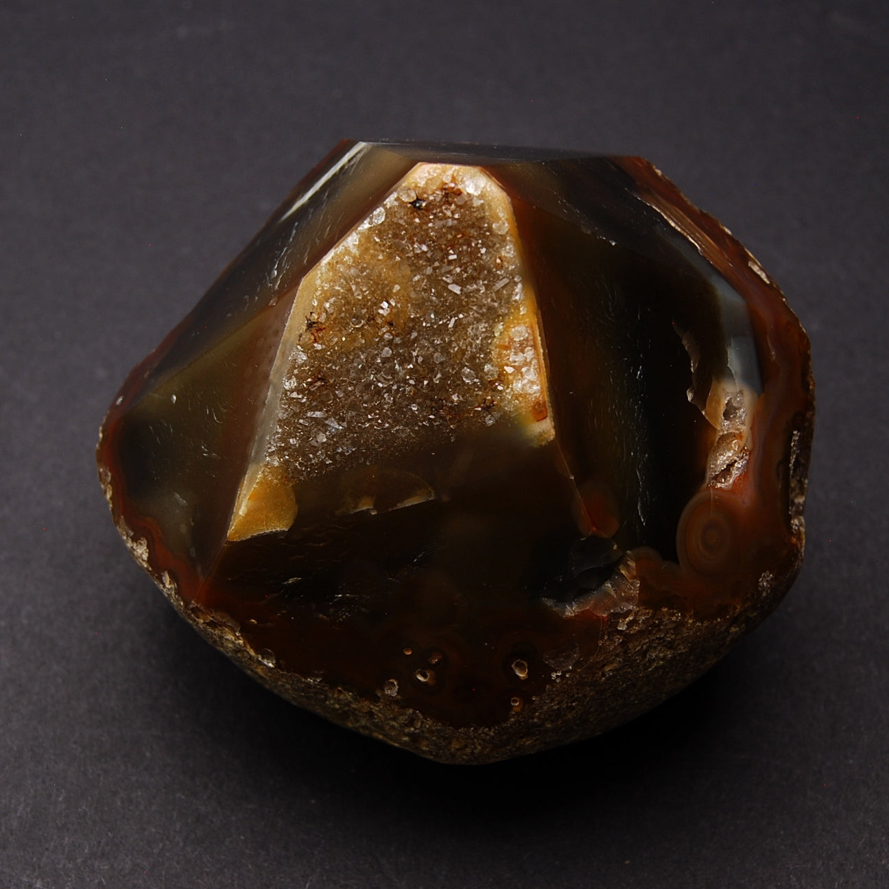 AGATE - Size M