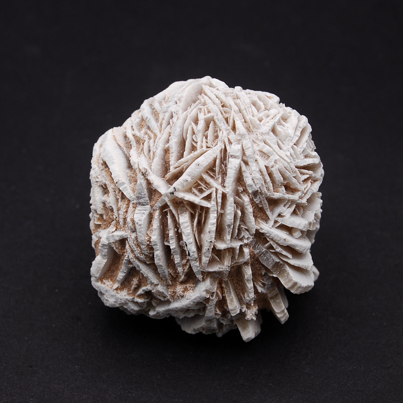 ROSE DES SABLES