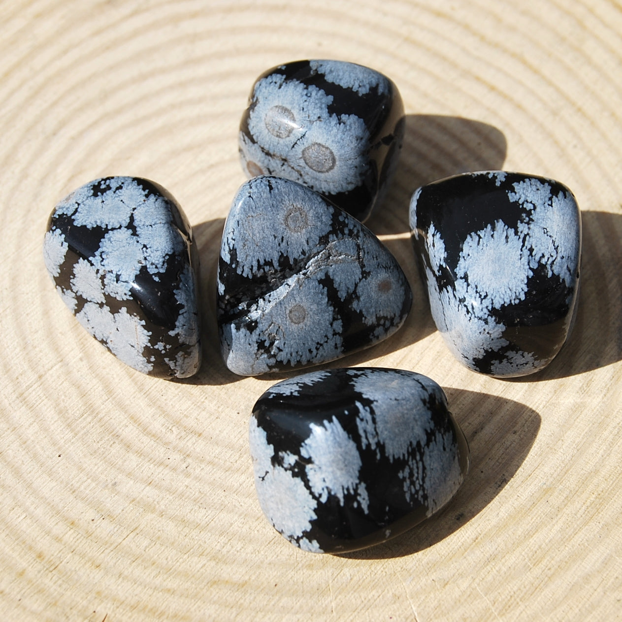 SNOWFLAKE OBSIDIAN